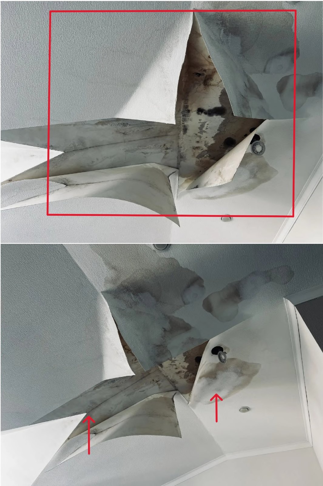 Повреждение потолочной отделки после протечки; исходная фотофиксация из заключения